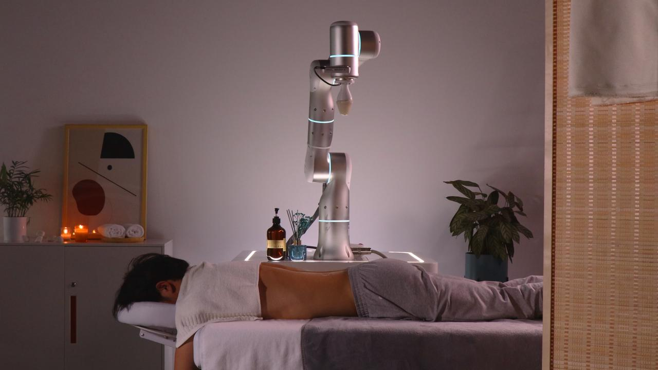 Human-Like Adaptability in Action